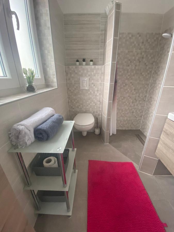 Aparthouse Alfa1 Apart otel Catez ob Savi Dış mekan fotoğraf
